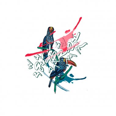 Toucans illüstrasyon vektör.