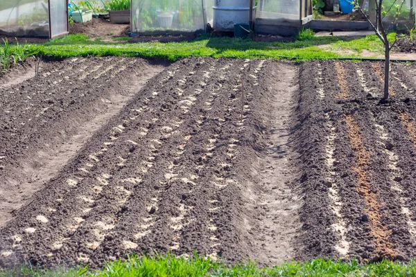 Garden.Raised beds in the garden with sown seeds of vegetables and herbs on the plot. — Stock Image Garden Raised Beds Garden Sown Seeds Vegetables Herbs Plot Stock Picture