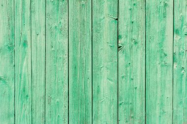 Yeşil ahşap arka plan. Yeşil boyası, çatlağı ve çivisi olan eski ahşap bir duvar..