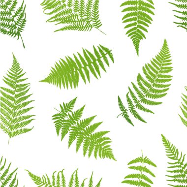 Fern Seamless modeli. Vektör çizim