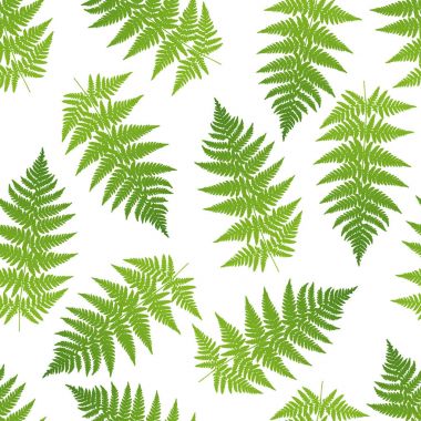 Fern Seamless modeli. Vektör çizim