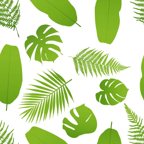 Tropicla 与棕榈和蕨类无缝模式 矢量插图 — 图库矢量图片