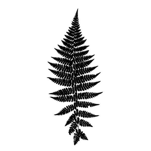 Silhouette Feuille Fougère Illustration Vectorielle — Image vectorielle