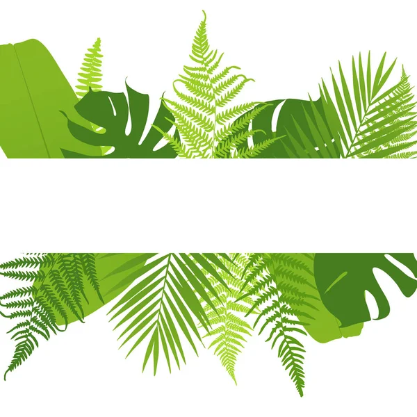 Bannière Avec Fougères Feuilles Tropicales Illustration Vectorielle — Image vectorielle