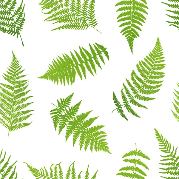 Fern Seamless Pattern Illustrazione Vettoriale — Vettoriale Stock