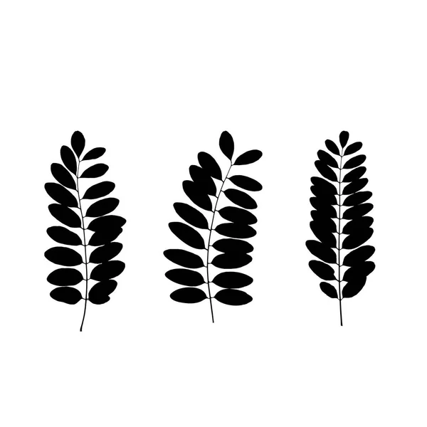 Set Van Zwart Boom Blad Silhouetten Vectorillustratie — Stockvector