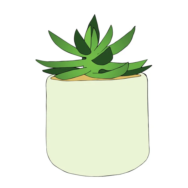 Fleur Succulente Dessinée Main Dans Pot Illustration Vectorielle — Image vectorielle