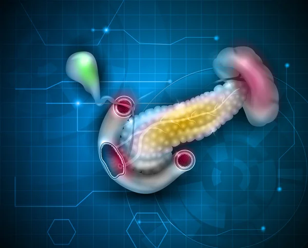 Pancreas e gli organi circostanti sfondo — Vettoriale Stock