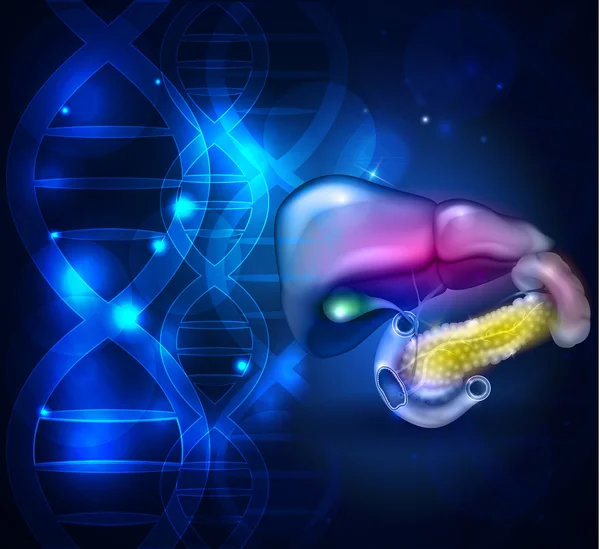 Tractus gastro-intestinal abstrait ADN fond conception, foie, st — Image vectorielle
