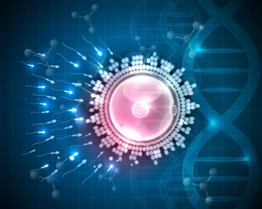 Yumurta döllenme çizim, güzel tasarım 