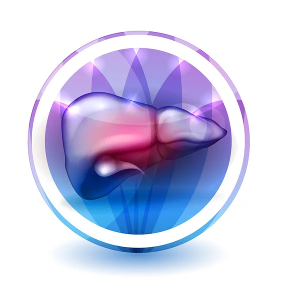 Sinal de Fígado, forma redonda — Vetor de Stock