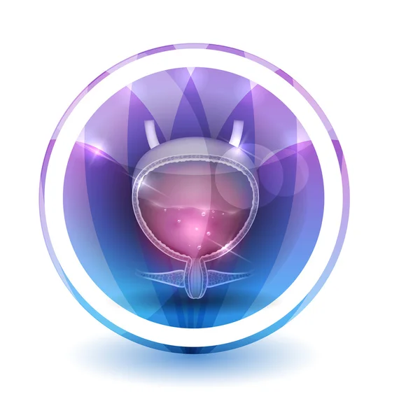 Urinary bladder Sign, round shape — Stock Illustration Urinary bladder Sign, round shape Vector Graphics