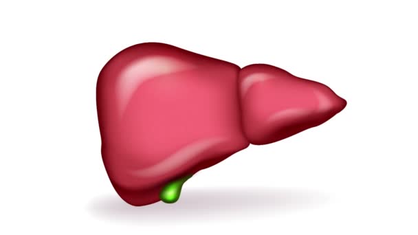 Cirrosis del hígado, desde hígado normal hasta hígado dañado . — Vídeo de stock
