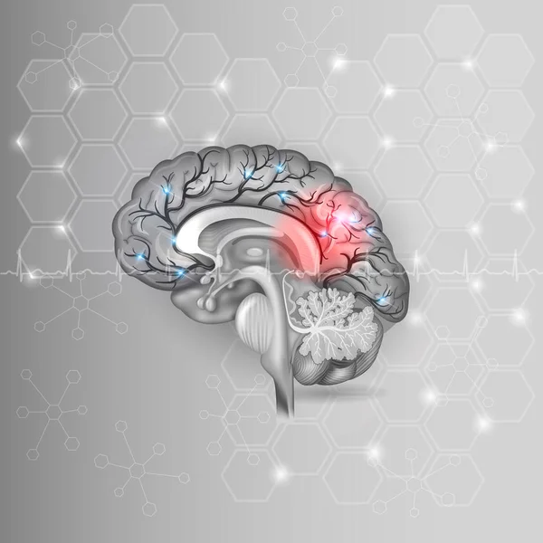 Human brain with red light abstract light grey hexagon backgroun — Stock Vector