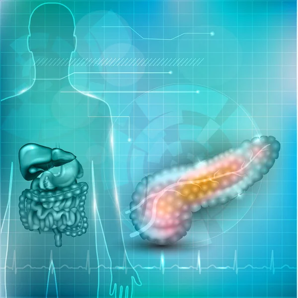 Pancreas anatomy and treatment concept, human silhouette with in — Stock Vector