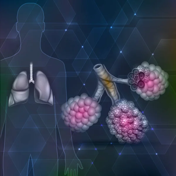 Lungen und Lungenbläschen auf einem abstrakten hexagonalen dunklen Hintergrund — Stockvektor