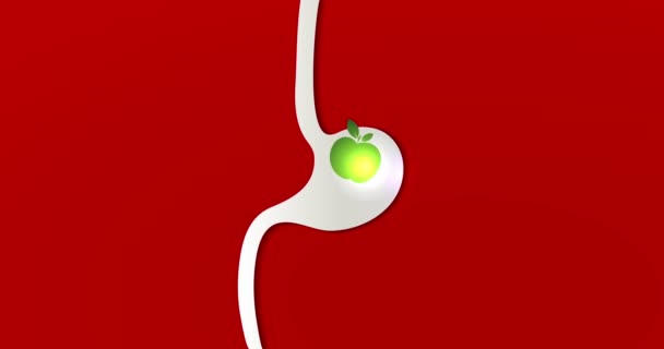 Estómago y manzana en el interior, fondo rojo brillante, hermosa animación simple — Vídeo de stock
