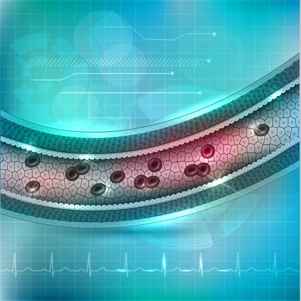 健康な動脈断面します。 — ストックベクタ