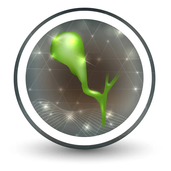 Gallbladder icon abstract design — Stock Vector