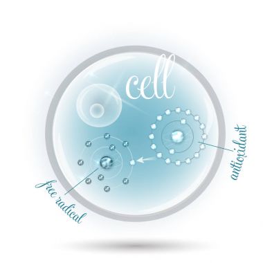 Hücre ve serbest radikallere karşı antioksidan nasıl çalışır