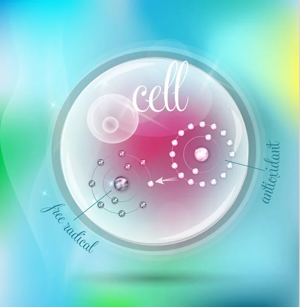 Κυττάρων και πώς αντιοξειδωτικό λειτουργεί ενάντια στις ελεύθερες ρίζες — Διανυσματικό Αρχείο