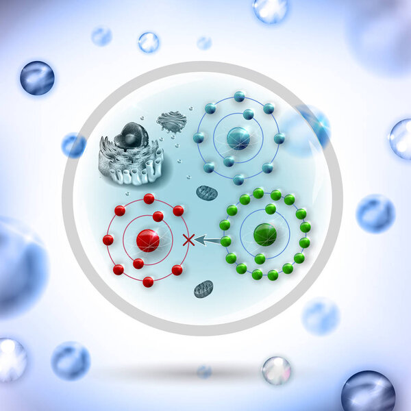Как антиоксидант работает против свободных радикалов
