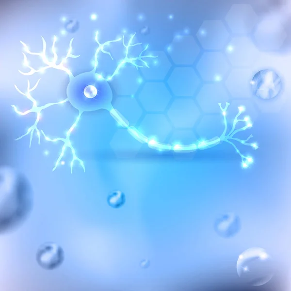 Νευρώνες, ανατομία νευρικών κυττάρων — Διανυσματικό Αρχείο