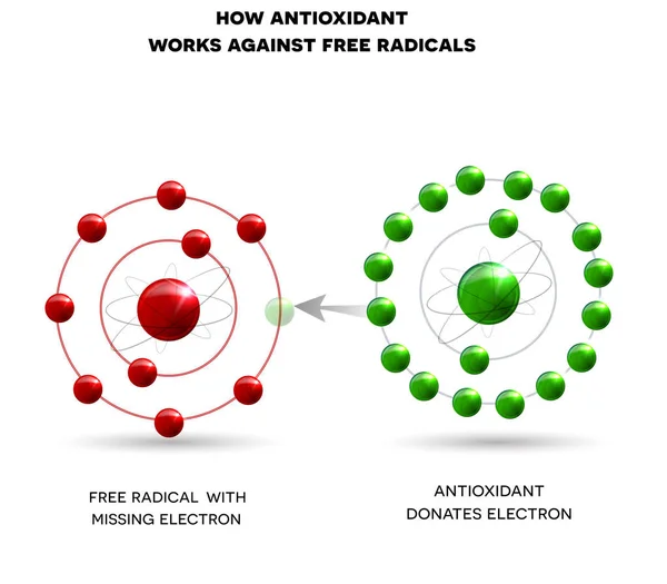 Jak funguje antioxidační — Stockový vektor