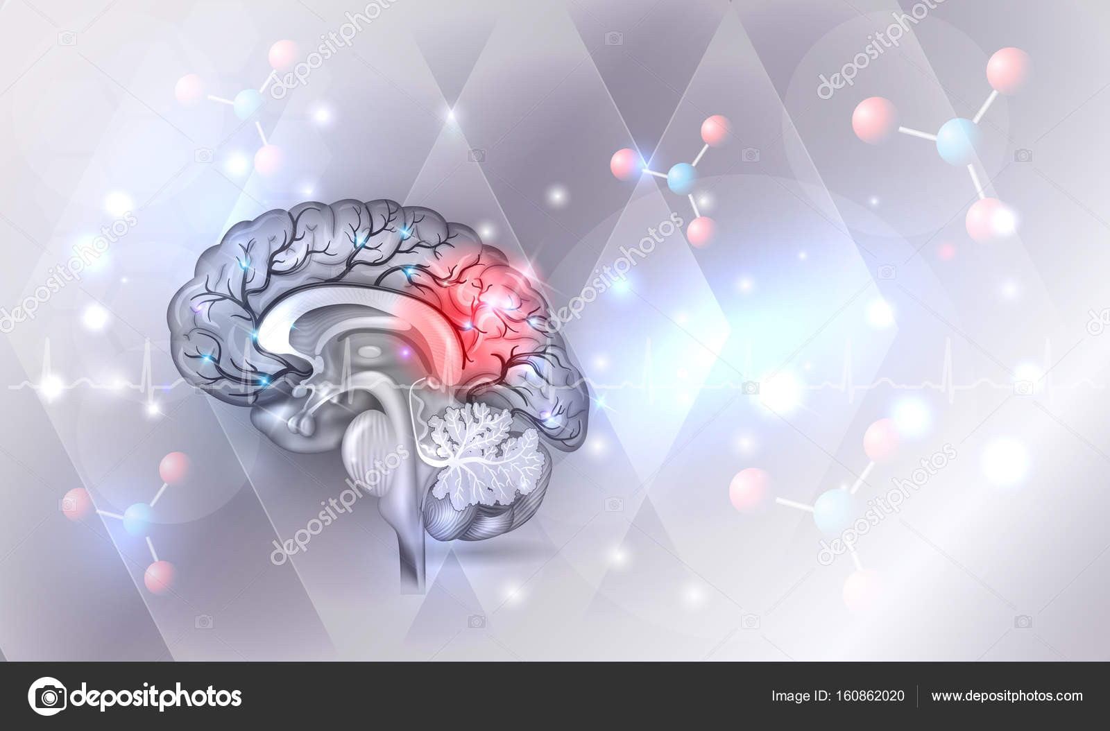 Human brain abstract light blue background Stock Vector Image by ...