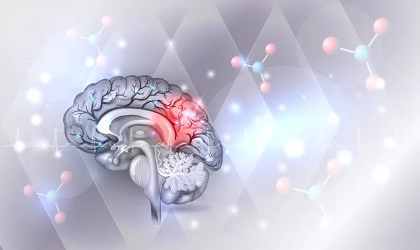 Menschliches Gehirn abstrakt hellblauer Hintergrund — Stockvektor