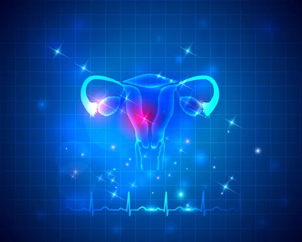 Female reproductive organs uterus and ovaries health care — Stock Vector