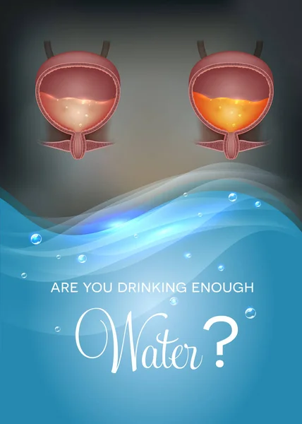 Питьевая вода влияет на цвет мочи — стоковый вектор
