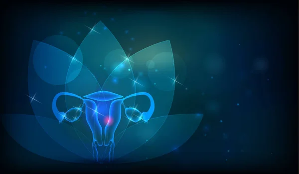 Los órganos reproductivos femeninos florecen en el fondo — Archivo Imágenes Vectoriales