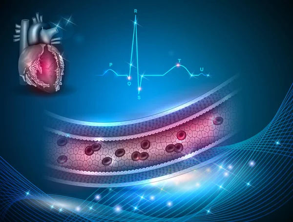 Поперечное сечение здоровой артерии — стоковый вектор