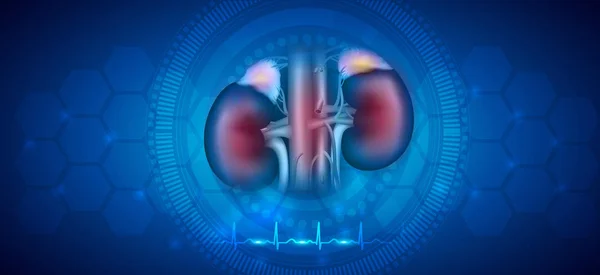 Cuidado de la salud renal fondo azul abstracto — Vector de stock