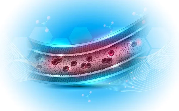 Anatomia sana delle arterie sectio croce — Vettoriale Stock