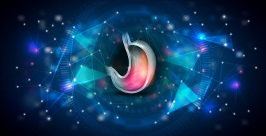 Mide anatomisi teknolojisi tasarımı