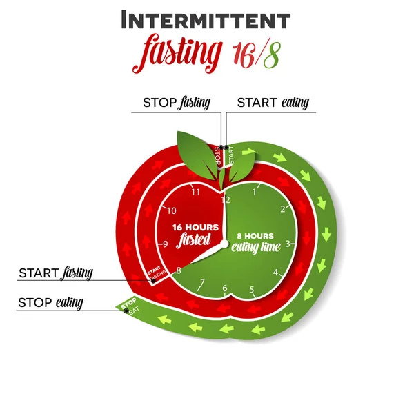 Intermittent fasting info clock — Stock Vector