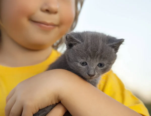 Poesje op arm van de jongen buitenshuis, kind enorme zijn liefde huisdier — Stockfoto