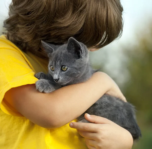 Kotek na ramieniu chłopca na zewnątrz, dziecko ogromne jego zwierzę miłość — Zdjęcie stockowe