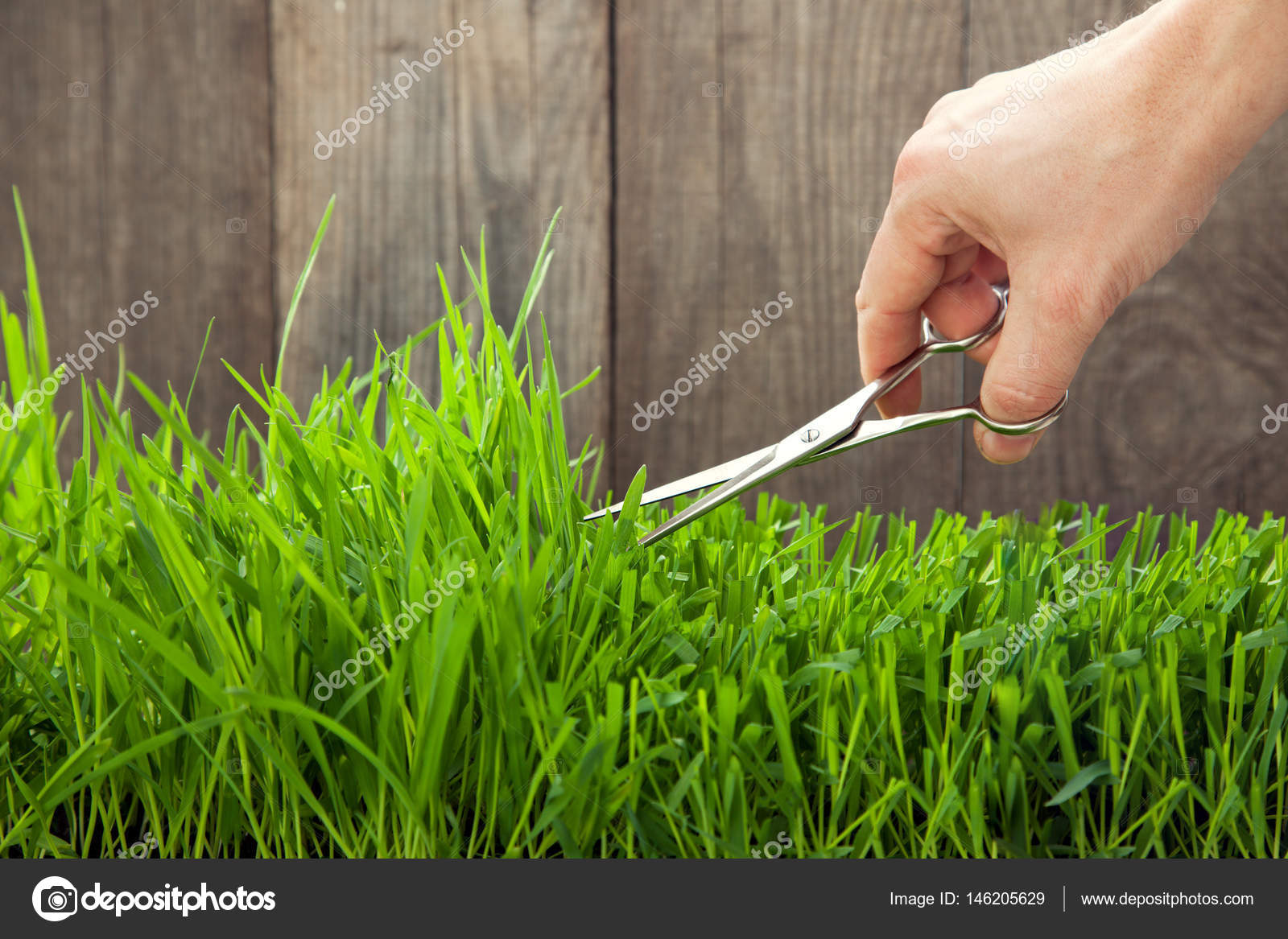 Cutting lawn with scissors hotsell