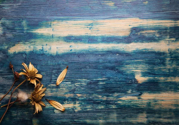 Ahşap arka planda kurumuş çiçekler Sonbahar Durgun Hayatı