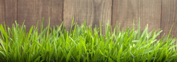 木の板の背景、ru 近く新鮮な緑の芝生の草します。 — ストック写真