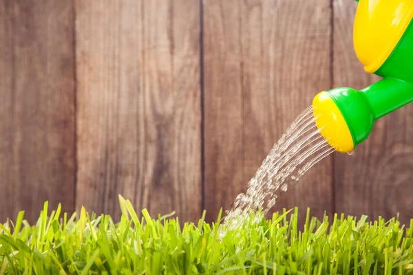 Полив может поливать траву у деревянного забора в летний день — стоковое фото