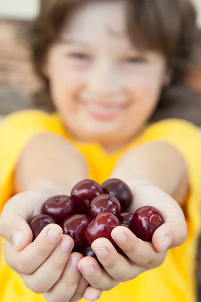 Palma cheia cerejas maduras em mãos do menino — Fotografia de Stock