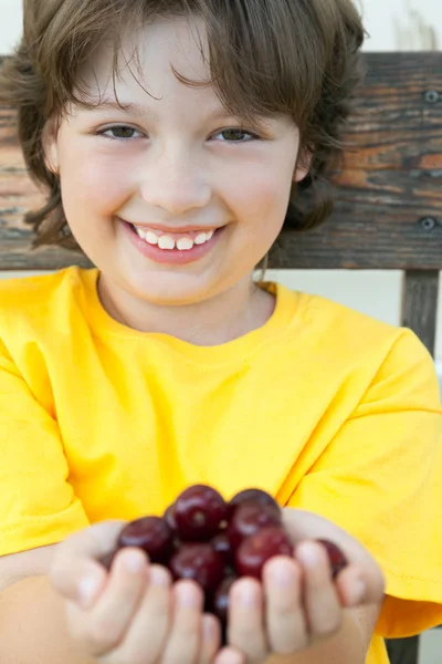 Volledige palm rijpe kersen in handen van de jongen — Stockfoto