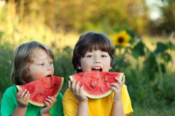 Bambino felice mangiare anguria in giardino. Due ragazzi con frutta in — Foto Stock