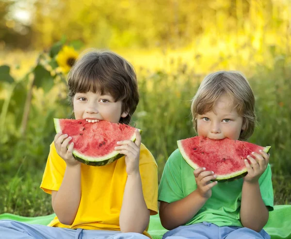 Joyeux enfant mangeant pastèque dans le jardin. Deux garçons avec des fruits dans — Photo