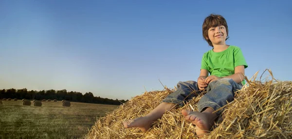 Chlapec v sena v poli — Stock fotografie
