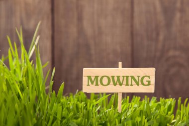 Çim zemin ahşap plakalar, taze yeşil çim n, üzerine tabela